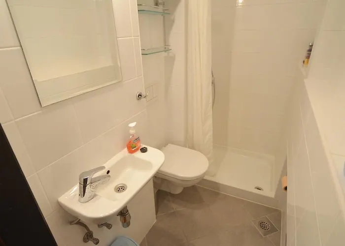 Driovier 31 * Ρόβινι