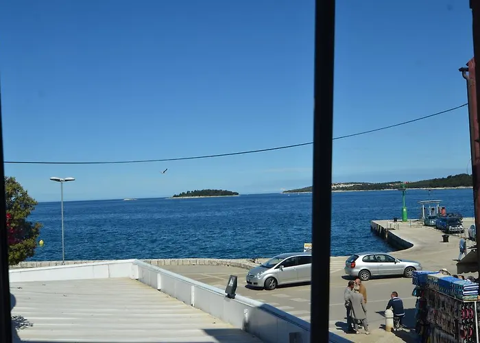 Driovier 31 * Ρόβινι